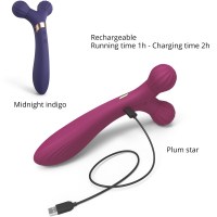Fireball-Plum-2