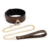 H_PVC_collar_w_leash