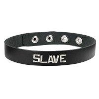 Spartacus_collar-slave(BWB-B2)2