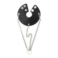 bspl-06k1