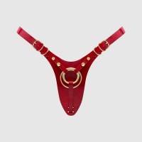 harnais-similicuir-pegging-fabulous-rouge-strap-on-me-1-1